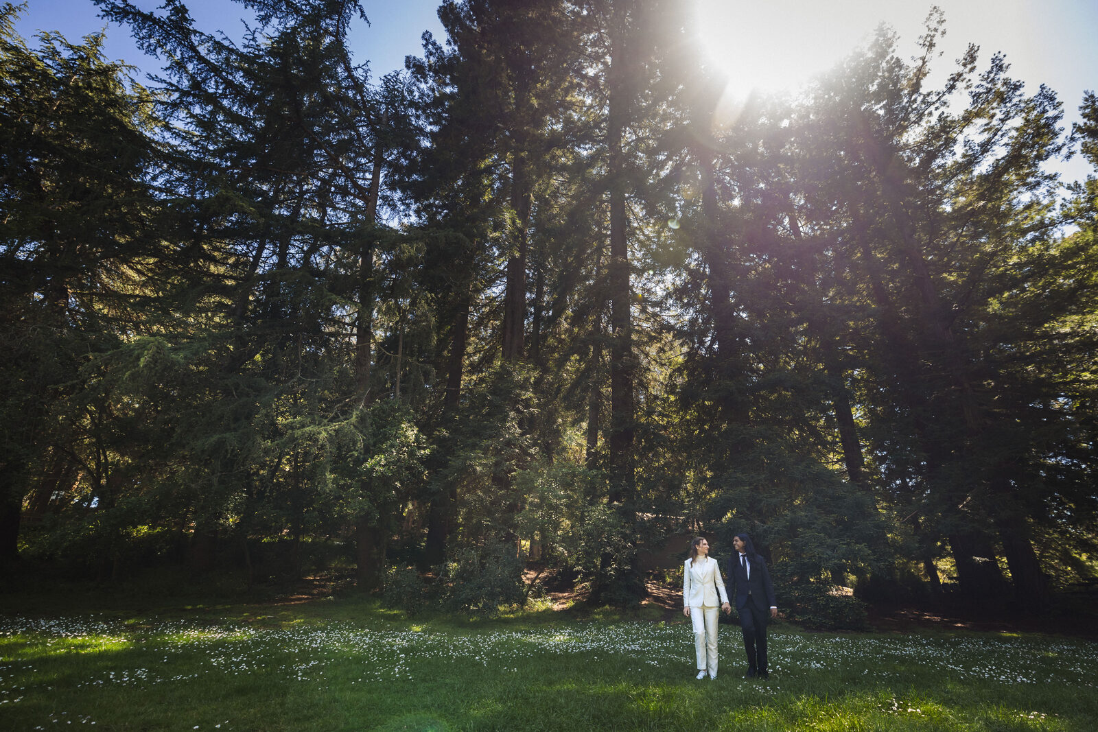 Adrian and Venki beneath towering redwoods, sunlight streaming through the trees