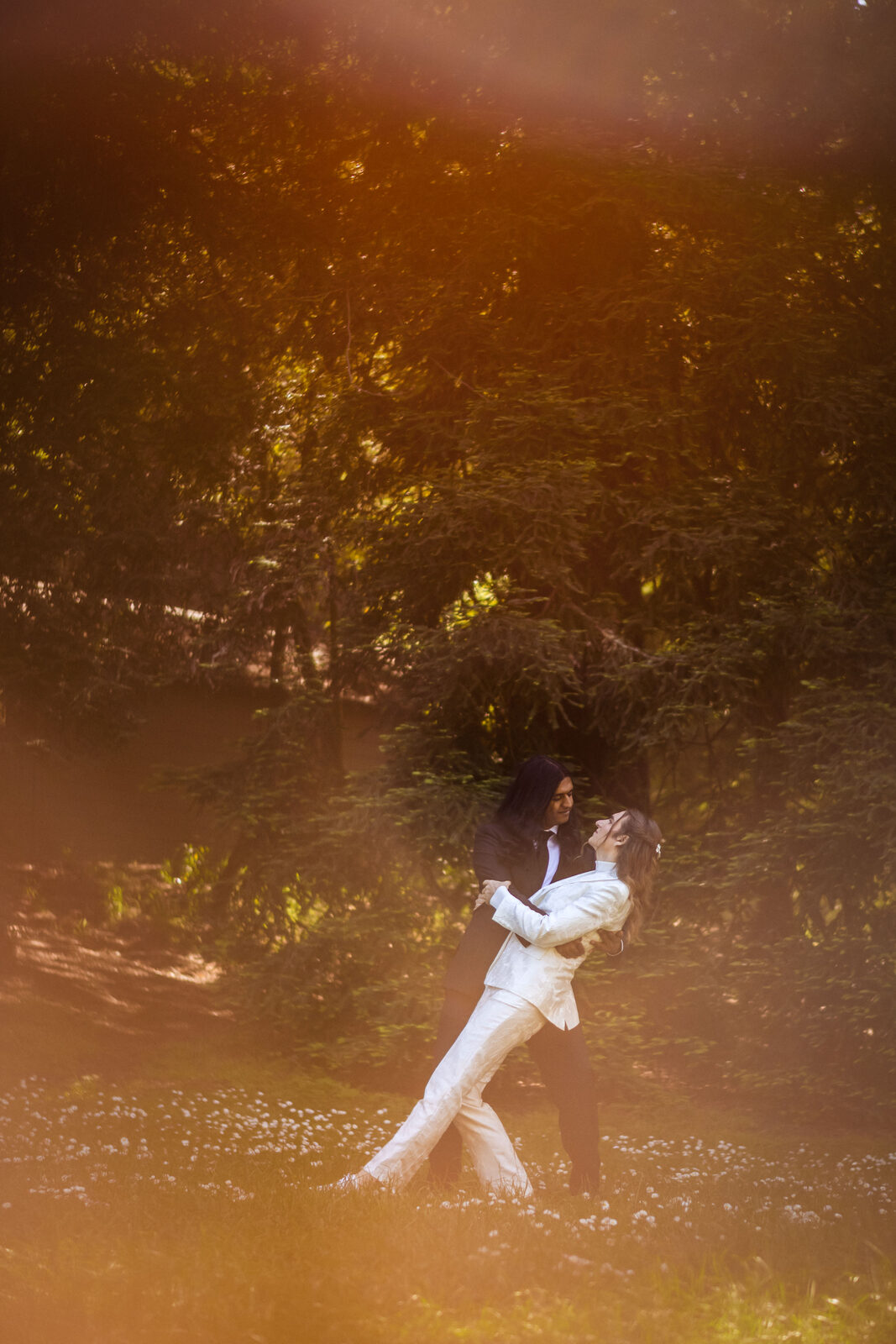 Twirling in a sun-drenched meadow