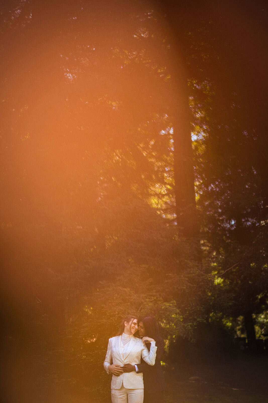 A quiet moment among the trees in golden light